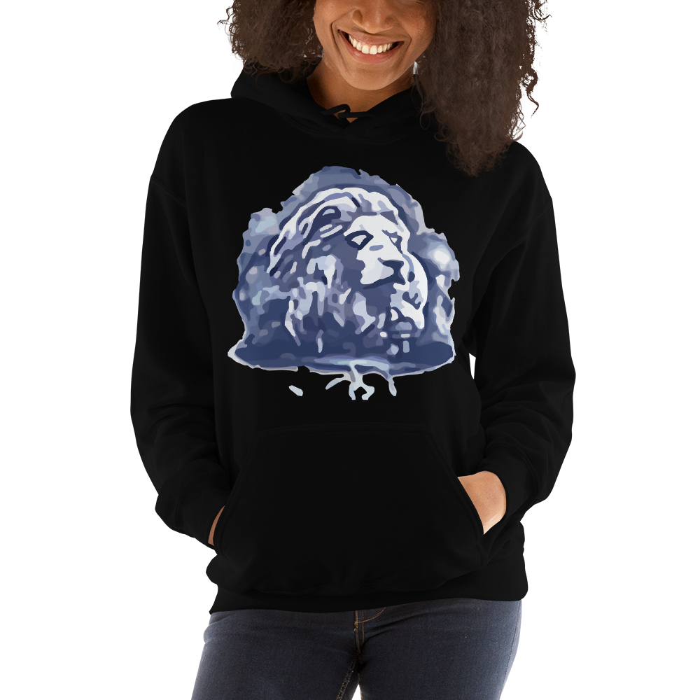 EverQuest®II Fury Hoodie
