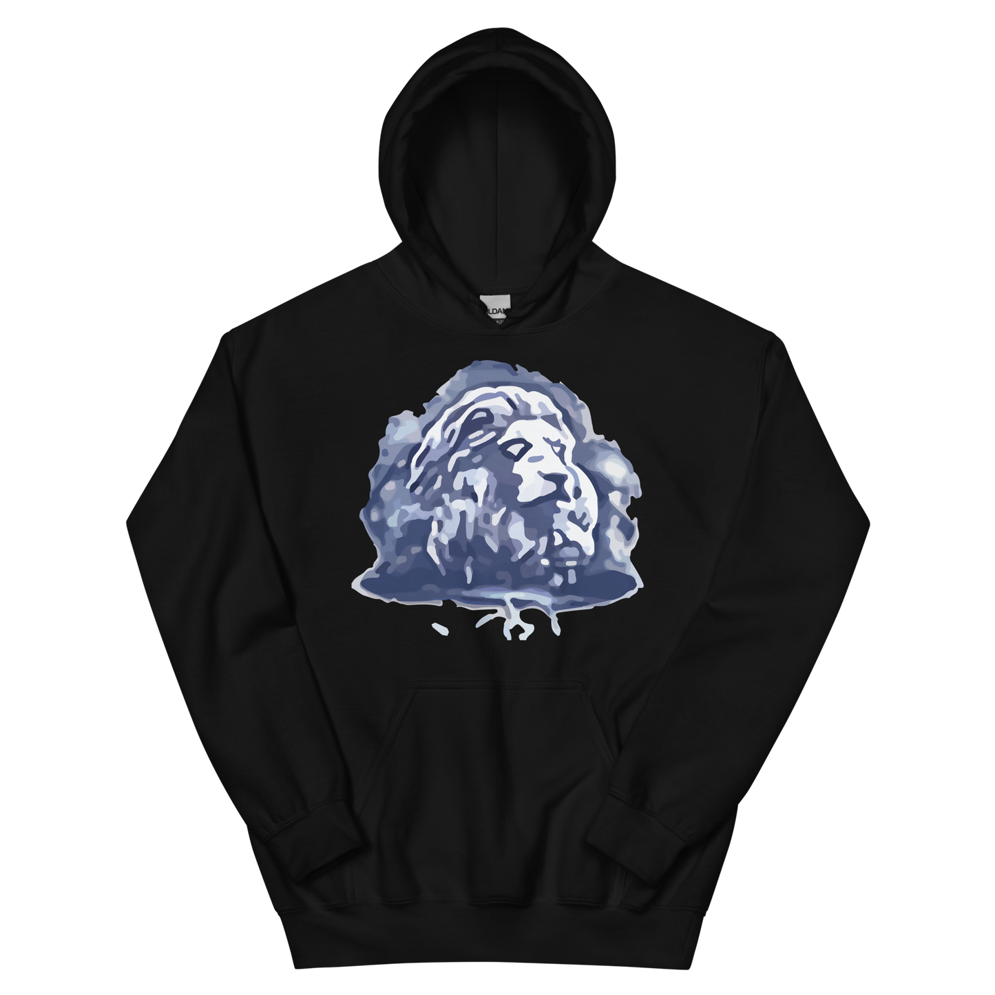 EverQuest®II Fury Hoodie