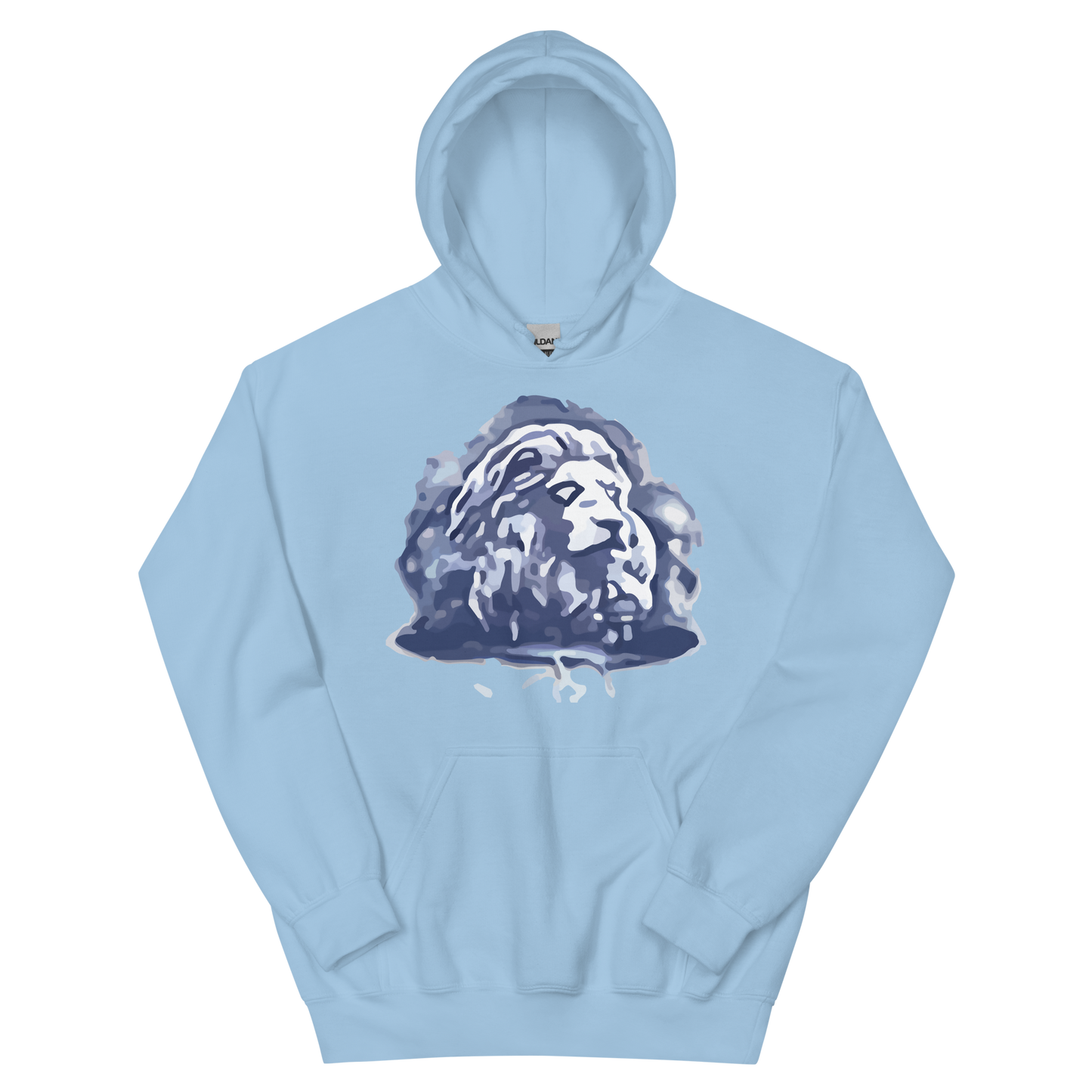 EverQuest®II Fury Hoodie