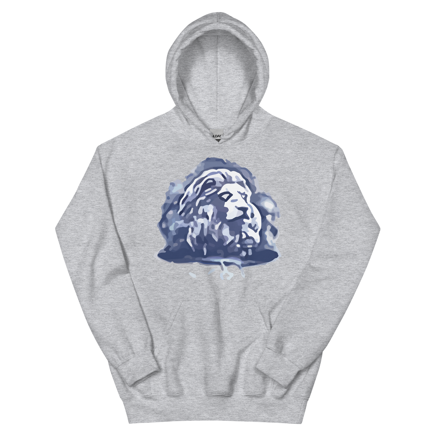 EverQuest®II Fury Hoodie