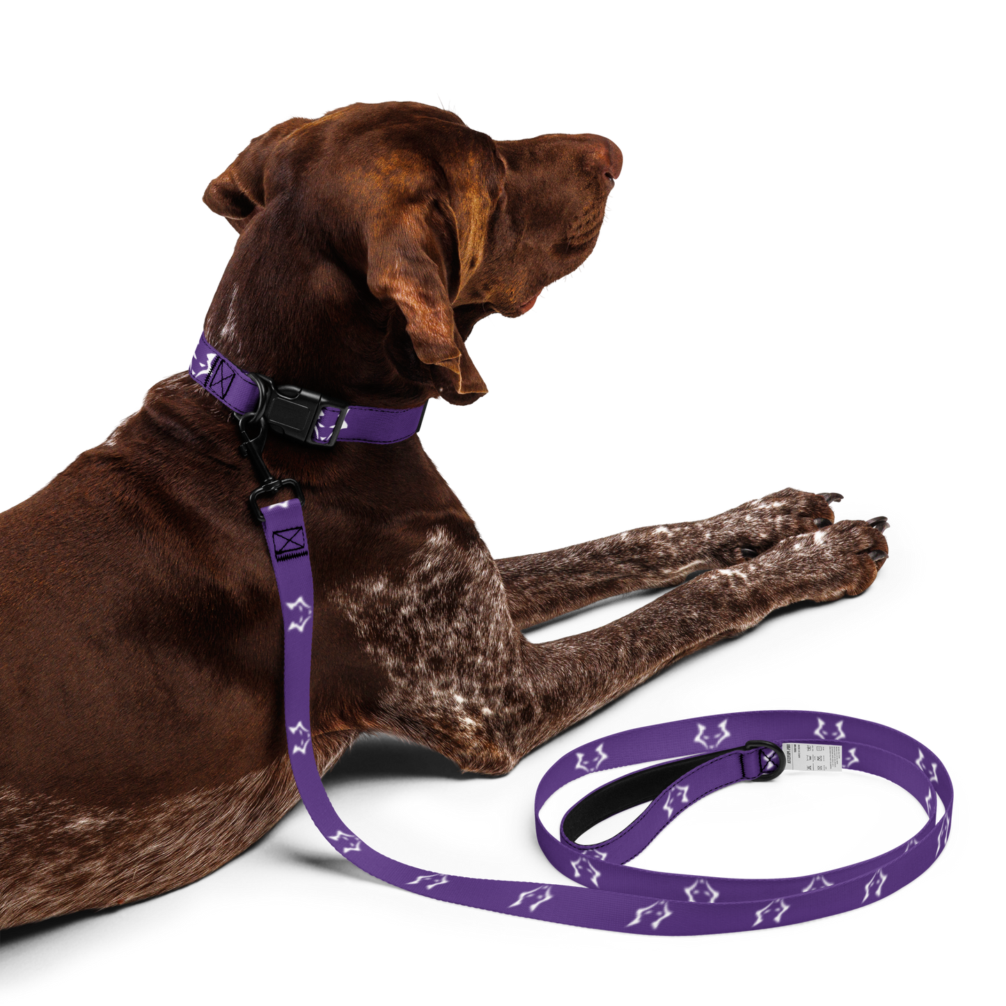 Darkpaw Pet Collar & Leash