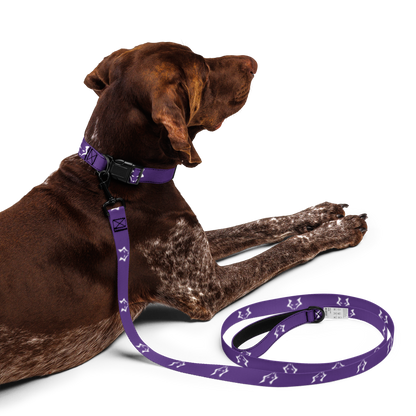 Darkpaw Pet Collar & Leash