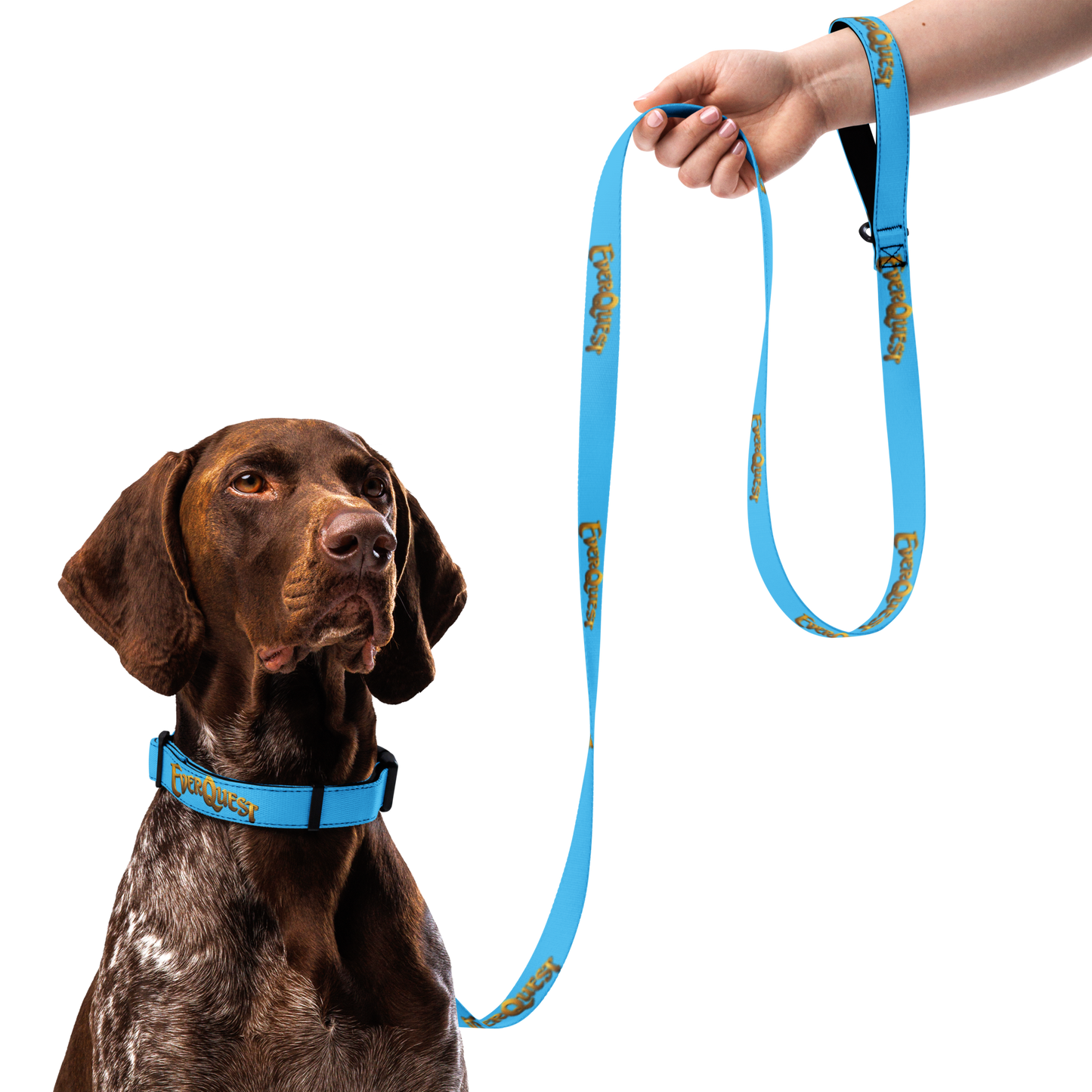 EverQuest® Classic Pet Collar & Leash