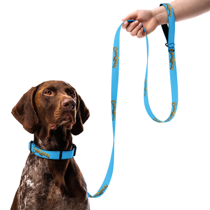 EverQuest® Classic Pet Collar & Leash