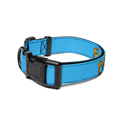 EverQuest® Classic Pet Collar