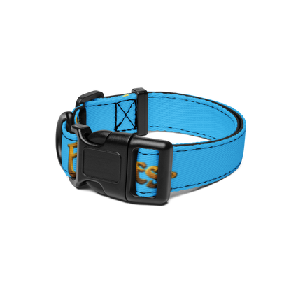 EverQuest® Classic Pet Collar