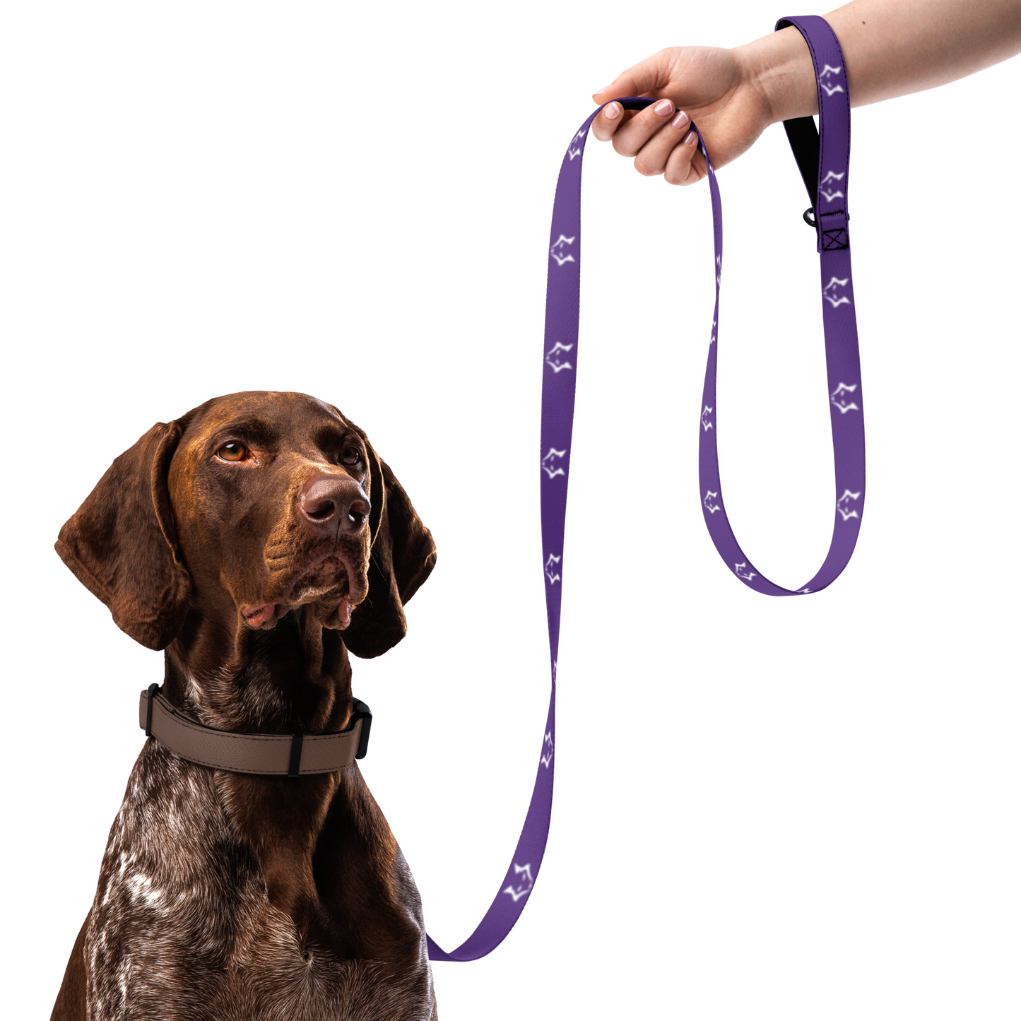 Darkpaw Pet Leash