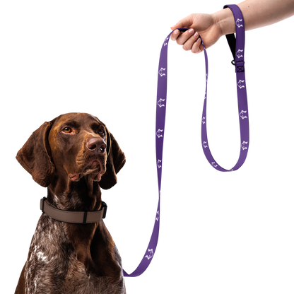 Darkpaw Pet Leash