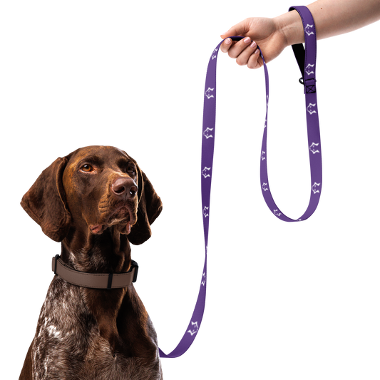 Darkpaw Pet Leash